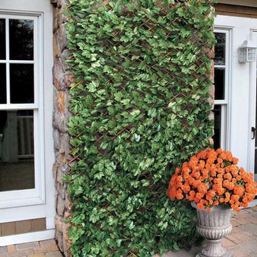 Cách chống thấm tường nhà cũ đơn giản nhưng rất hiệu quả