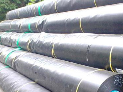 Cửa hàng chuyên màng chống thấm HDPE chất lượng nhất Hải Phòng